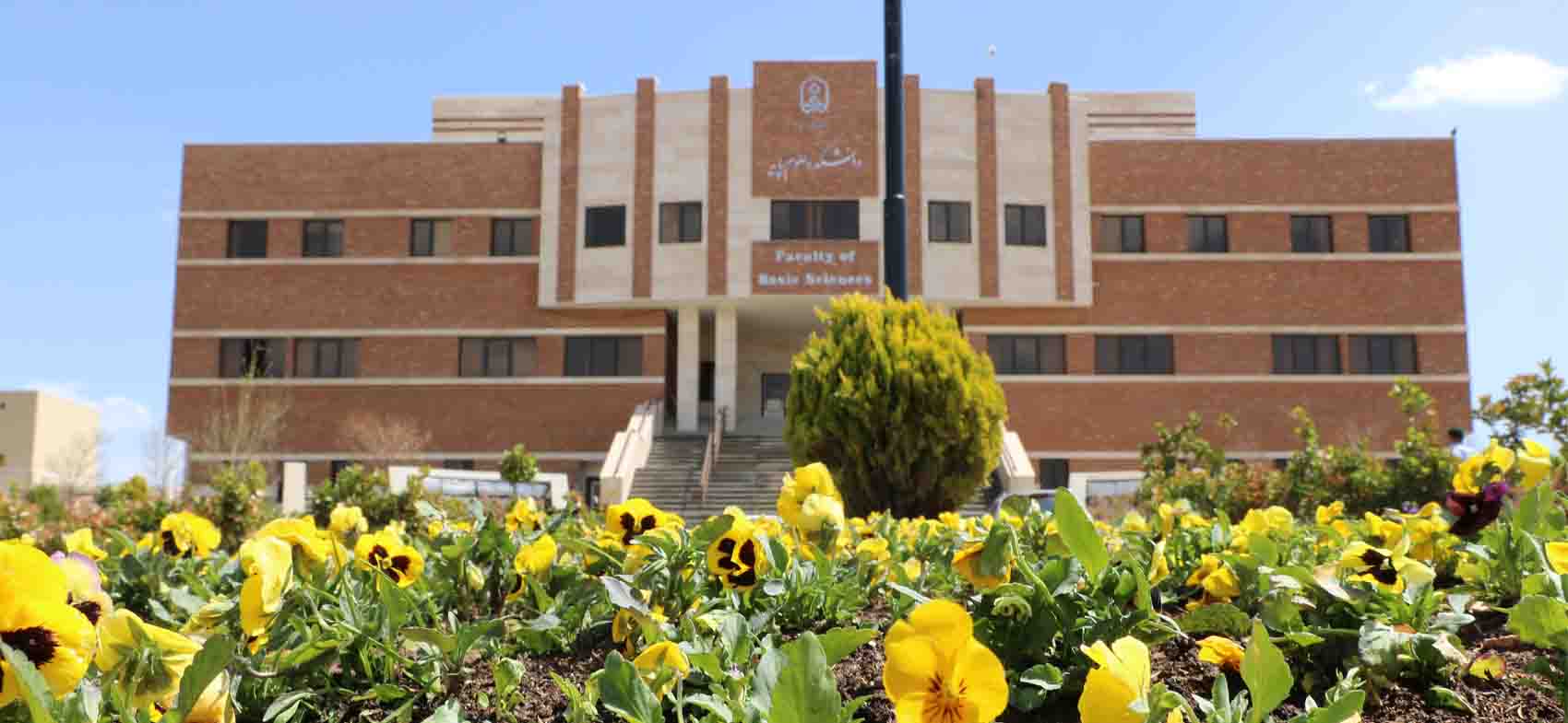 First Responsive Image